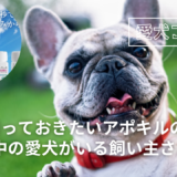 アトピー性皮膚炎の愛犬がアポキル使用が激減＜体験談＞